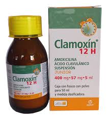 Clamoxin 12 H Junior (Amoxicilina/ Acido Clavulanico)